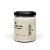 Separation of Scents – Hand-Poured Soy Candle (9 oz)