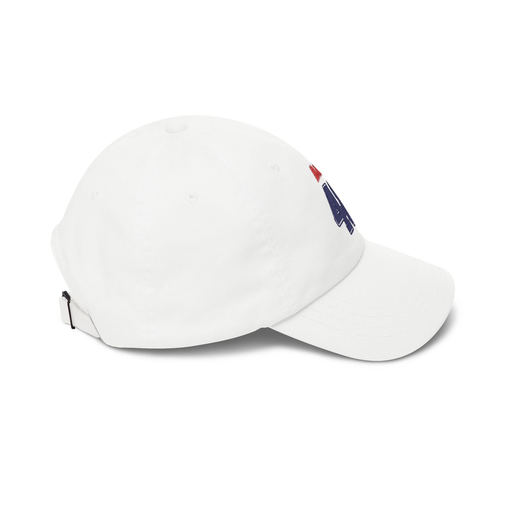 Team AOC for 48th President Embroidered Vintage Dad Hat