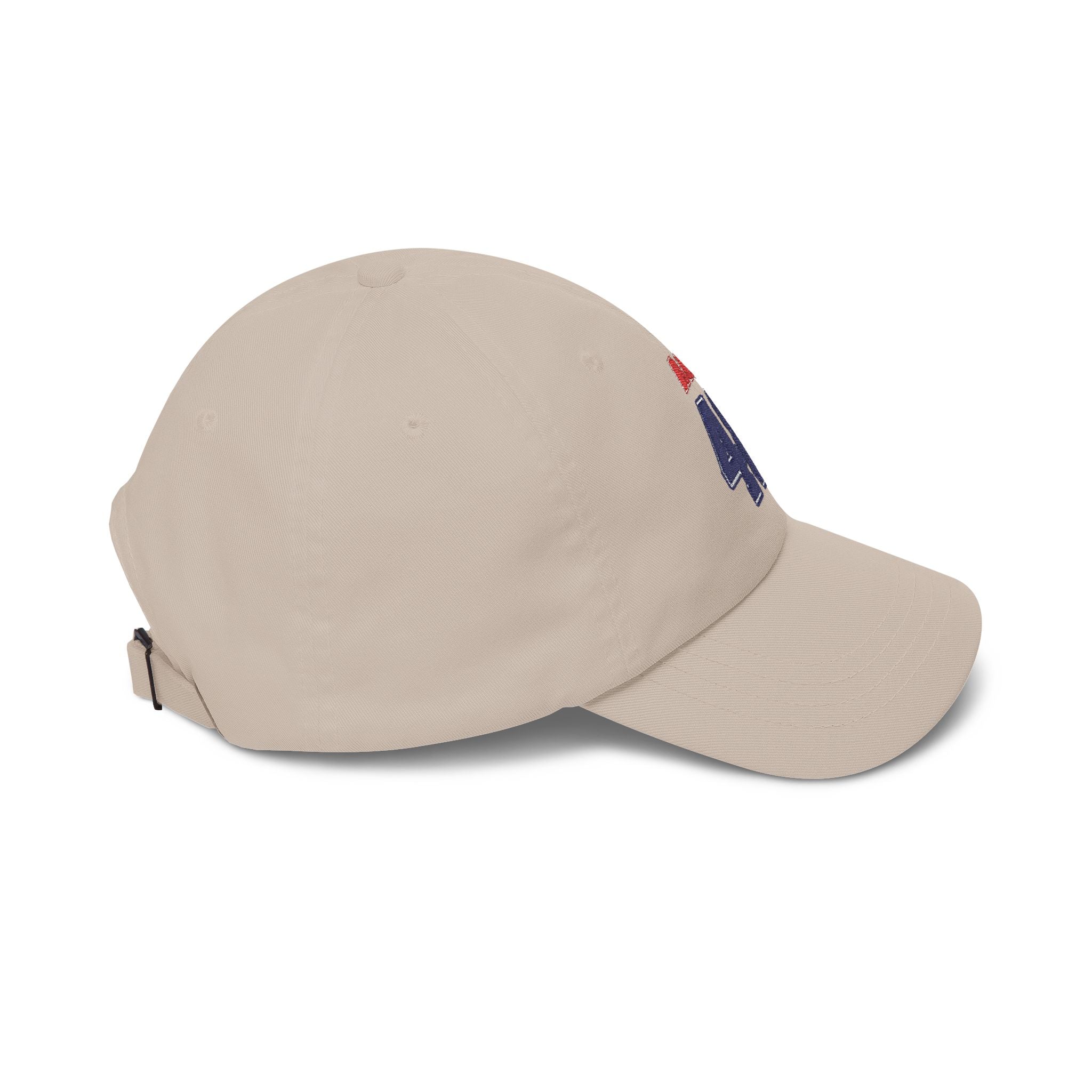 Team AOC for 48th President Embroidered Vintage Dad Hat