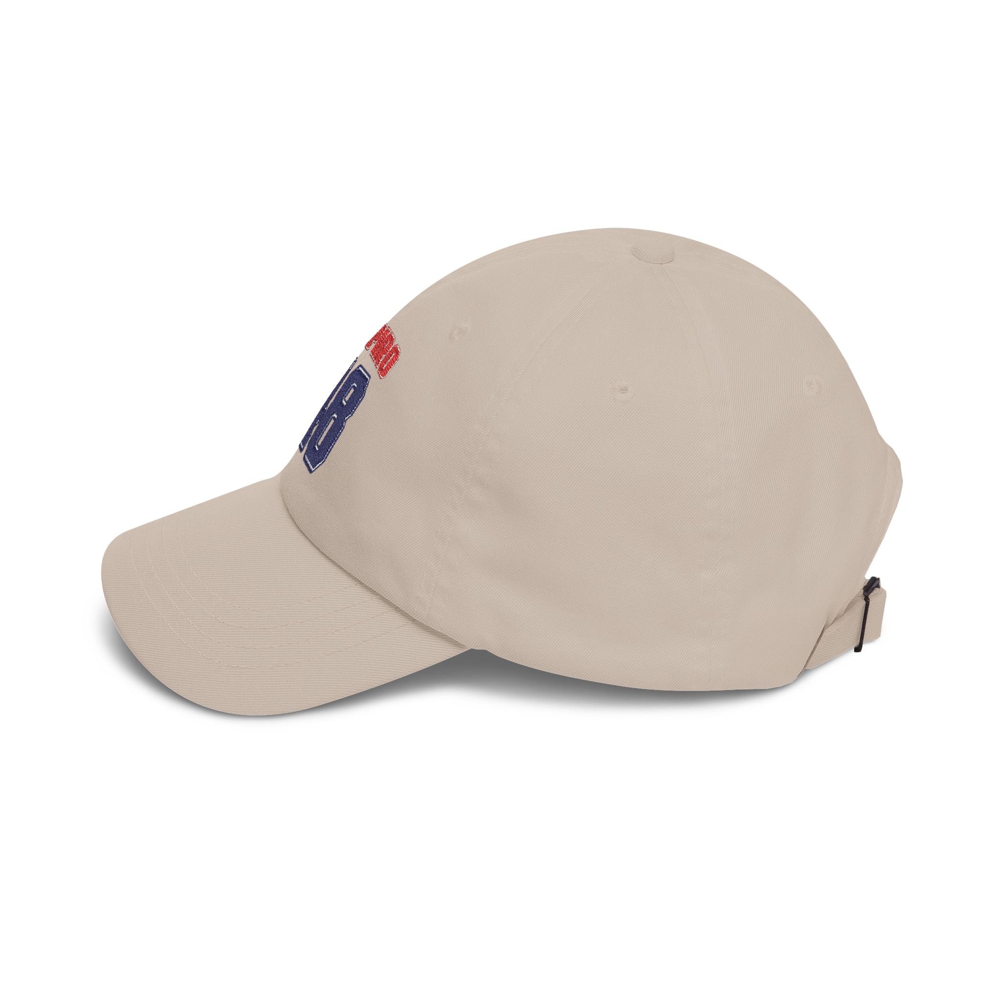 Team Shapiro for 48th President Embroidered Vintage Dad Hat