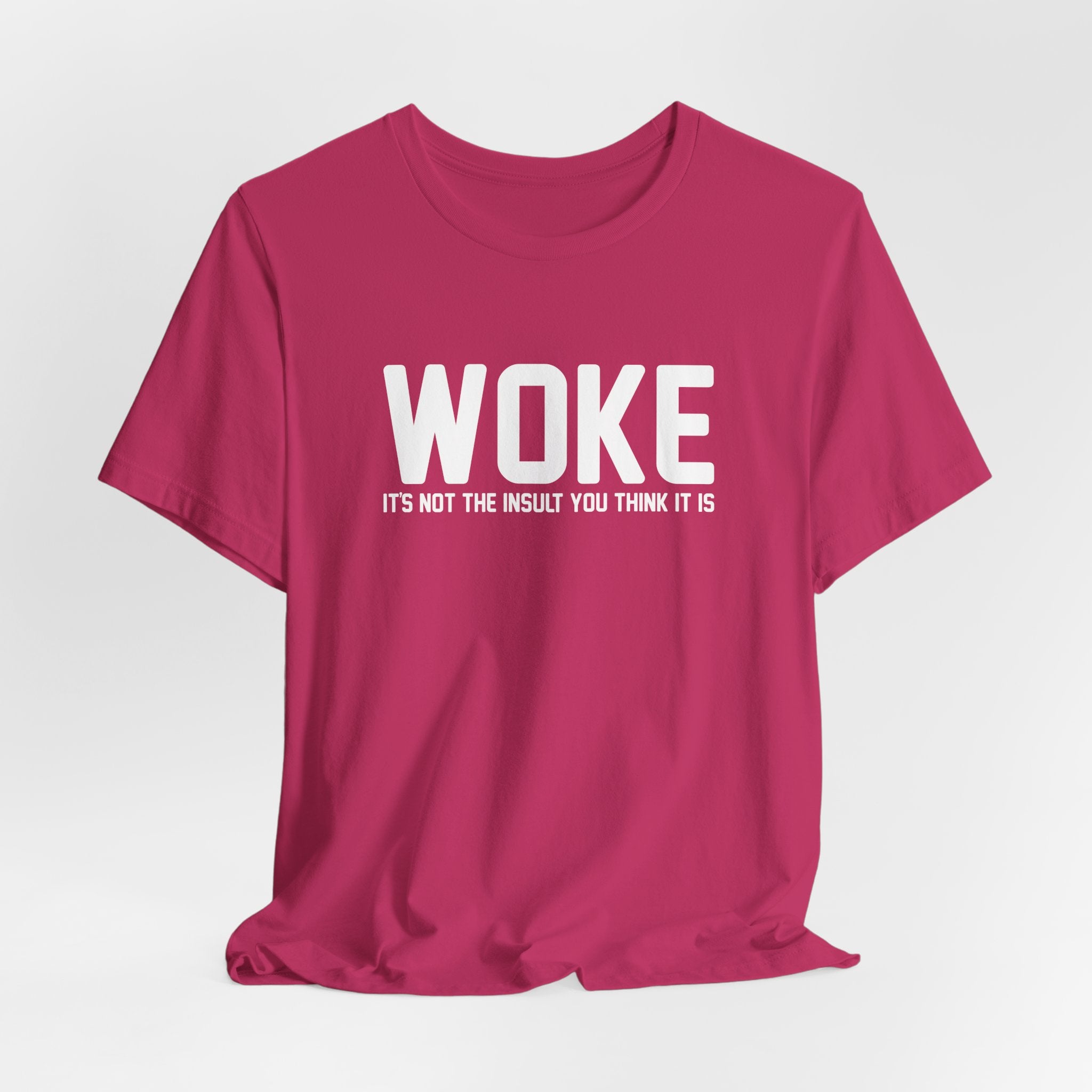 Woke is Not the Insult You Think it is Unisex T-Shirt - Progressive Informed Tee - Social Justice - Equality and Equity