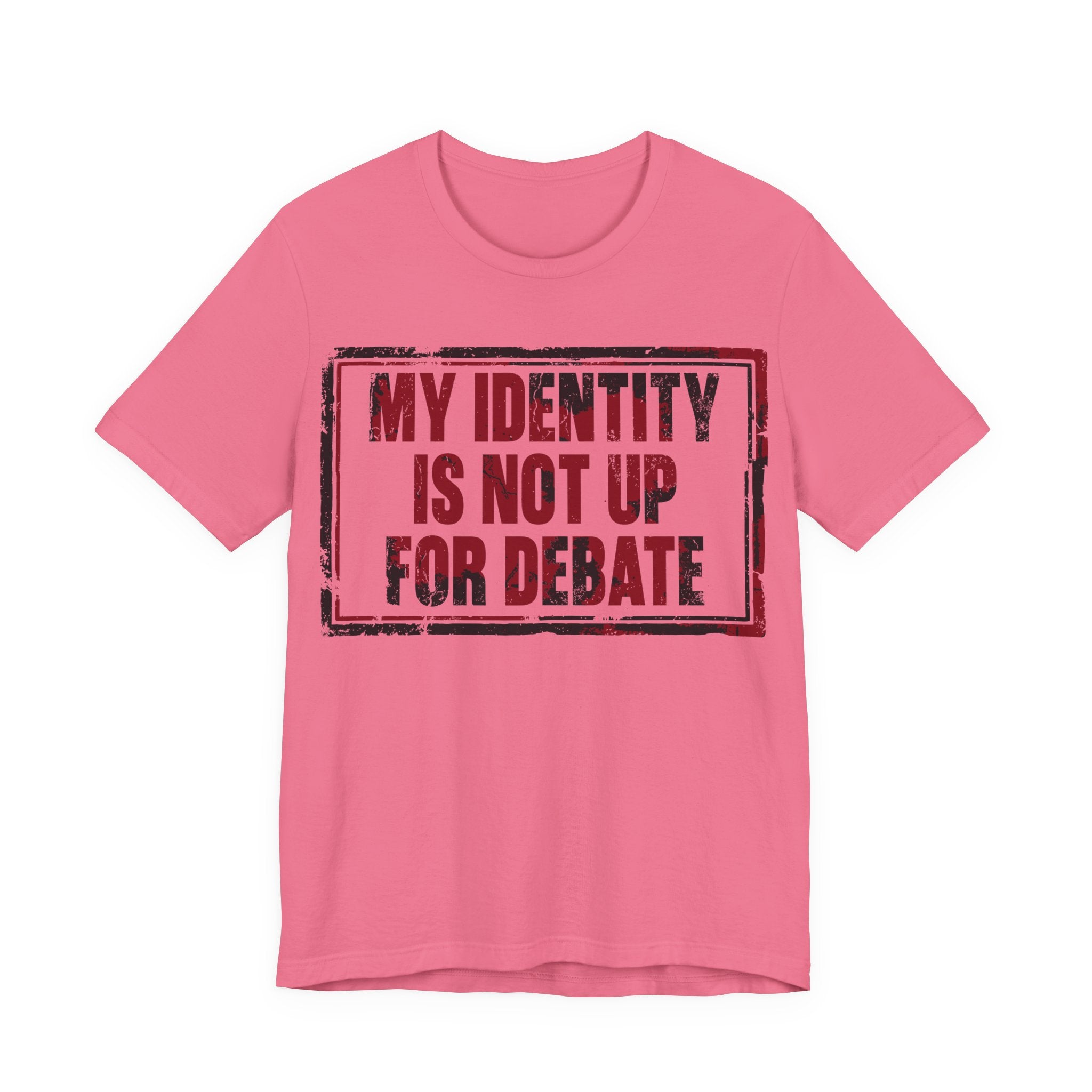 My Identity is Not Up for Debate T-Shirt