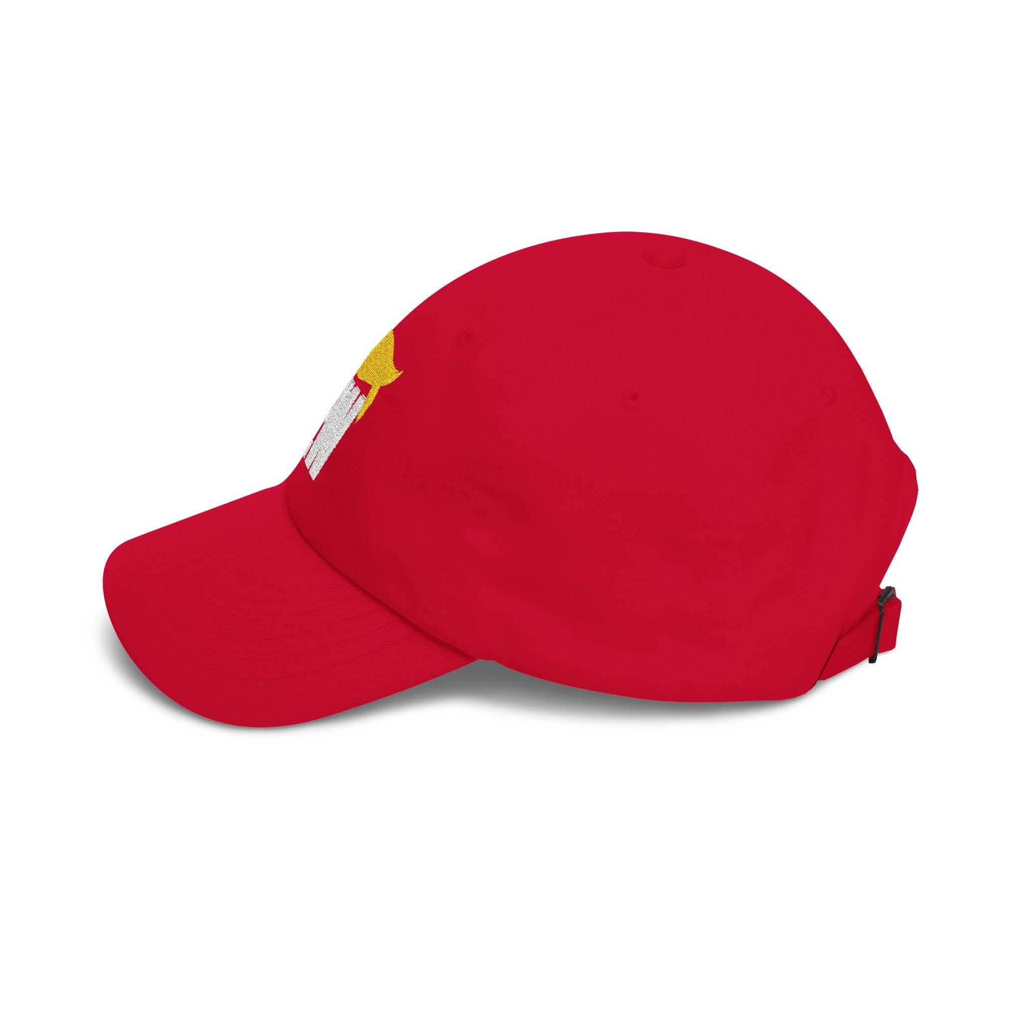 EW Embroidered Classic Dad Cap — Funny Political Statement Baseball Cap