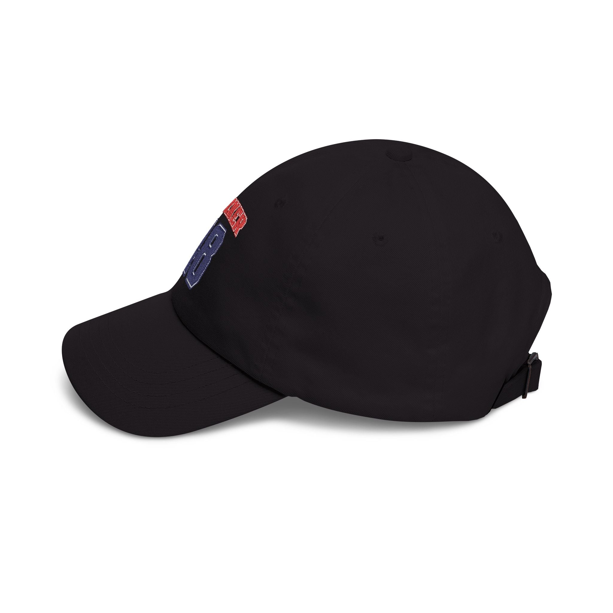 Team Pritzker for 48th President Embroidered Vintage Dad Hat