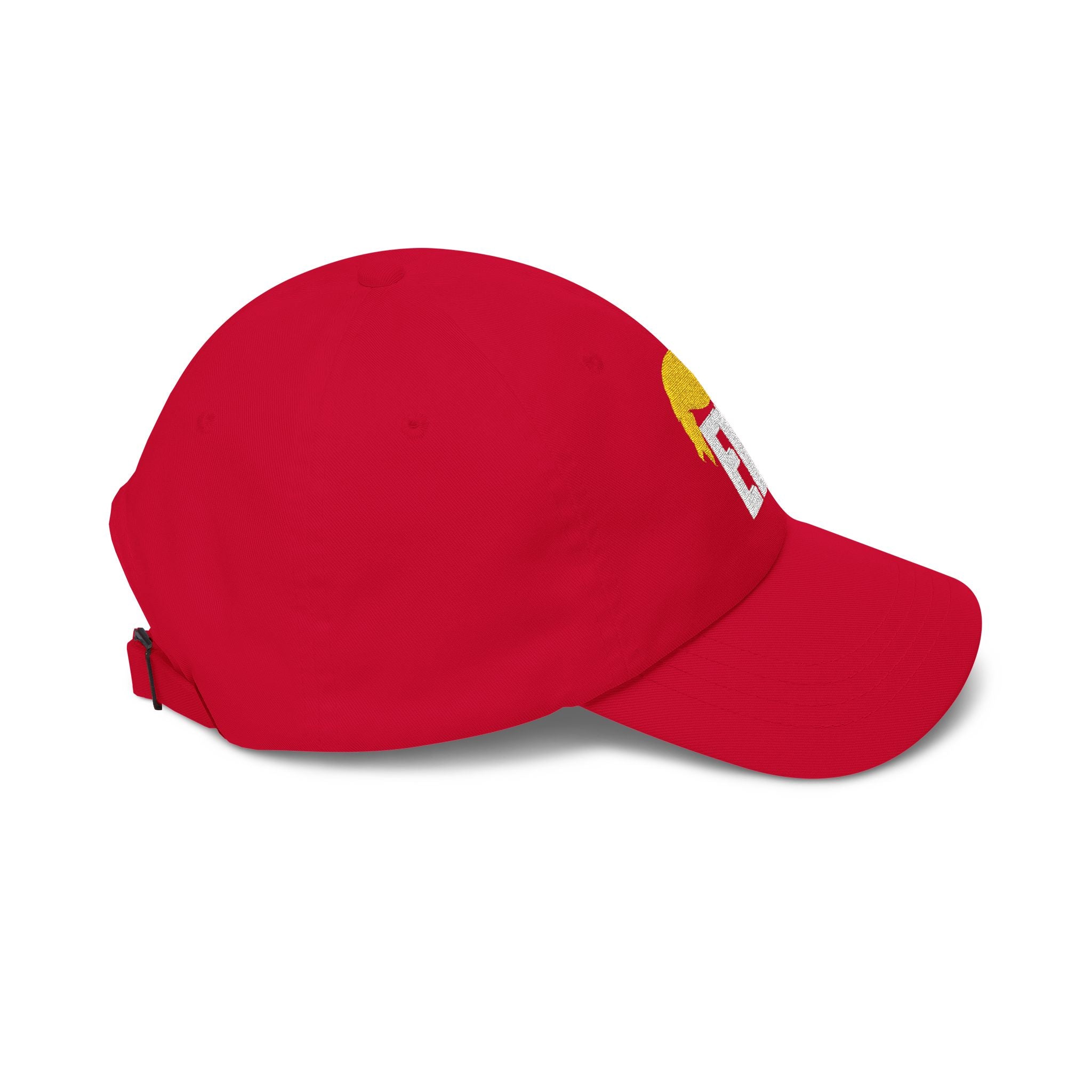 EW Embroidered Classic Dad Cap — Funny Political Statement Baseball Cap
