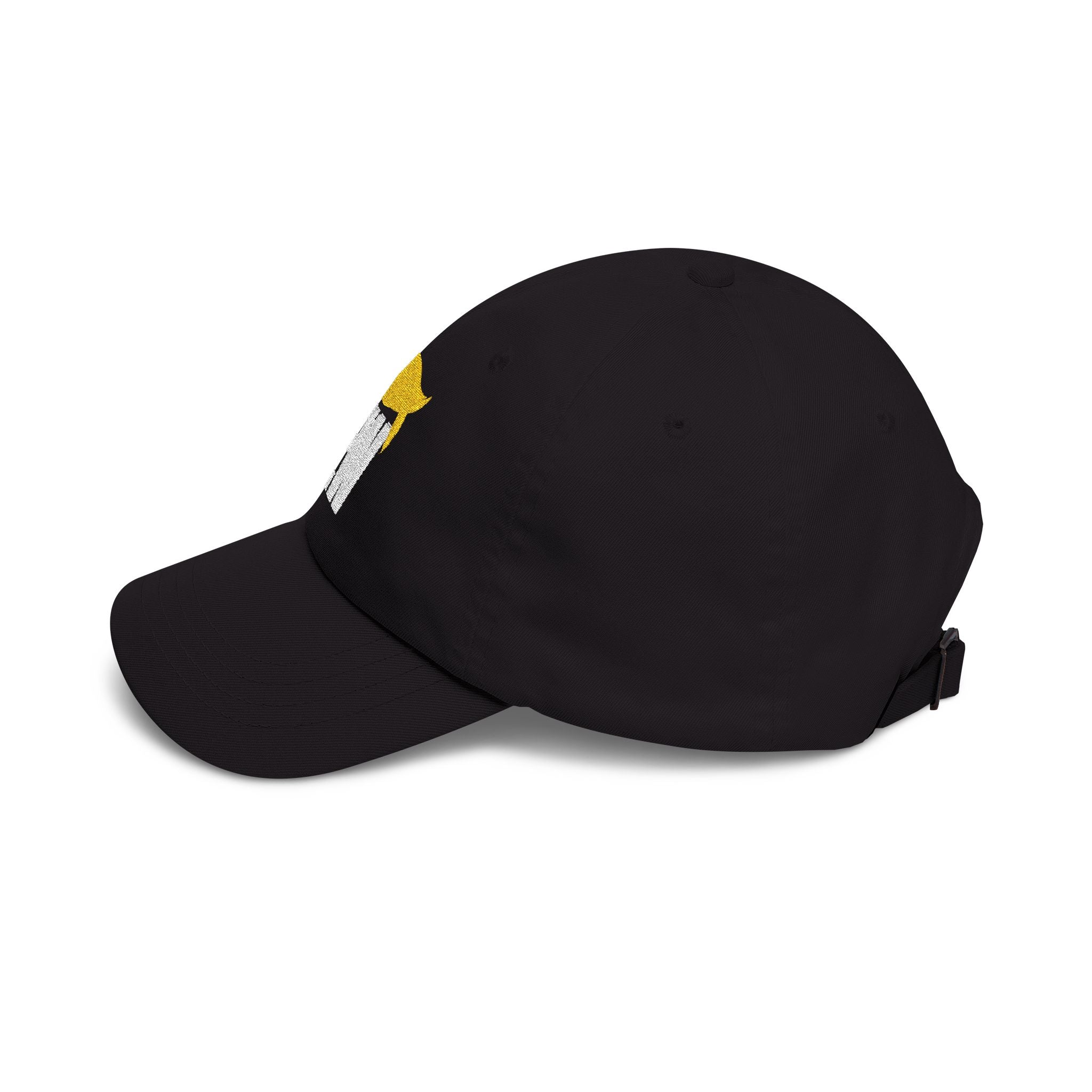 EW Embroidered Classic Dad Cap — Funny Political Statement Baseball Cap