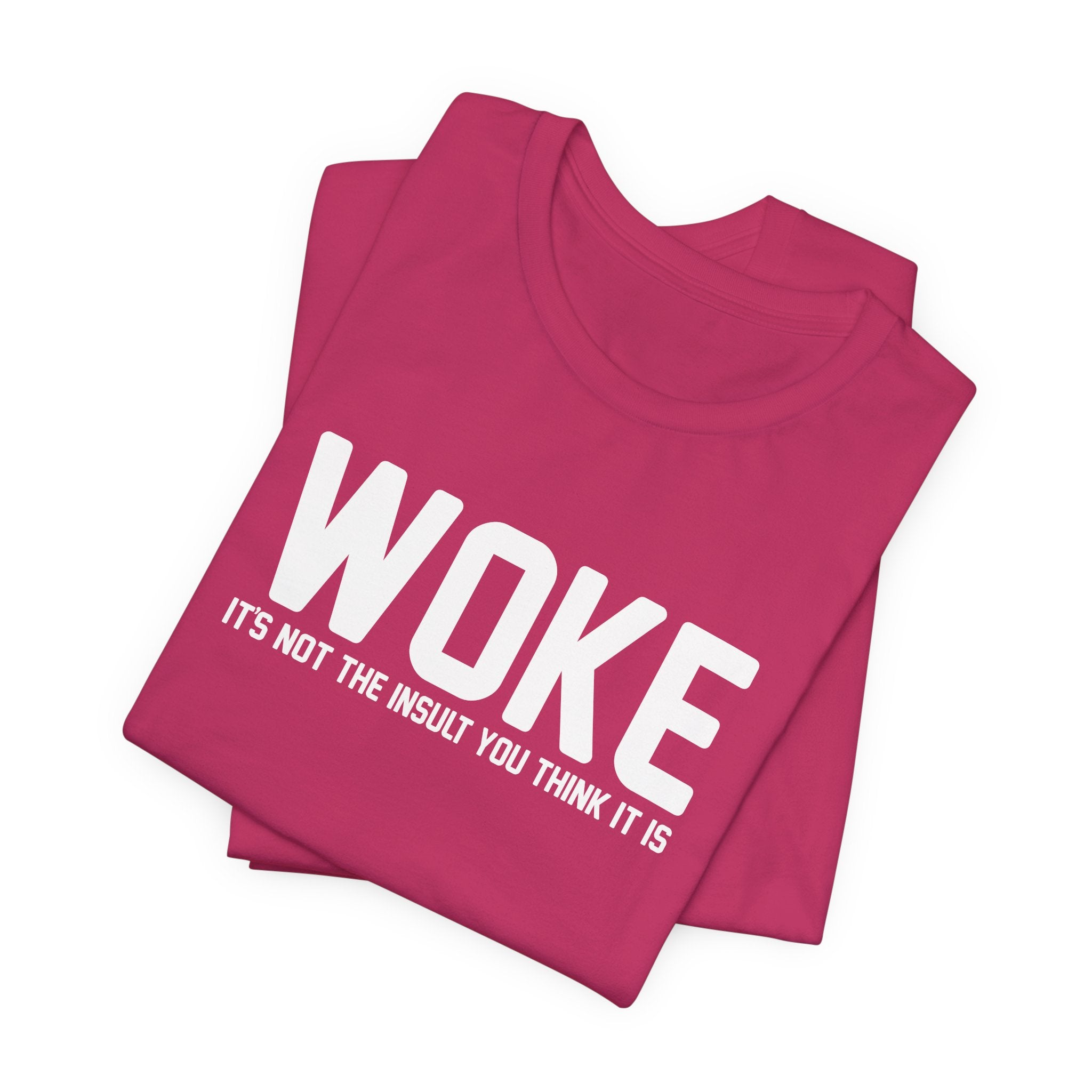 Woke is Not the Insult You Think it is Unisex T-Shirt - Progressive Informed Tee - Social Justice - Equality and Equity