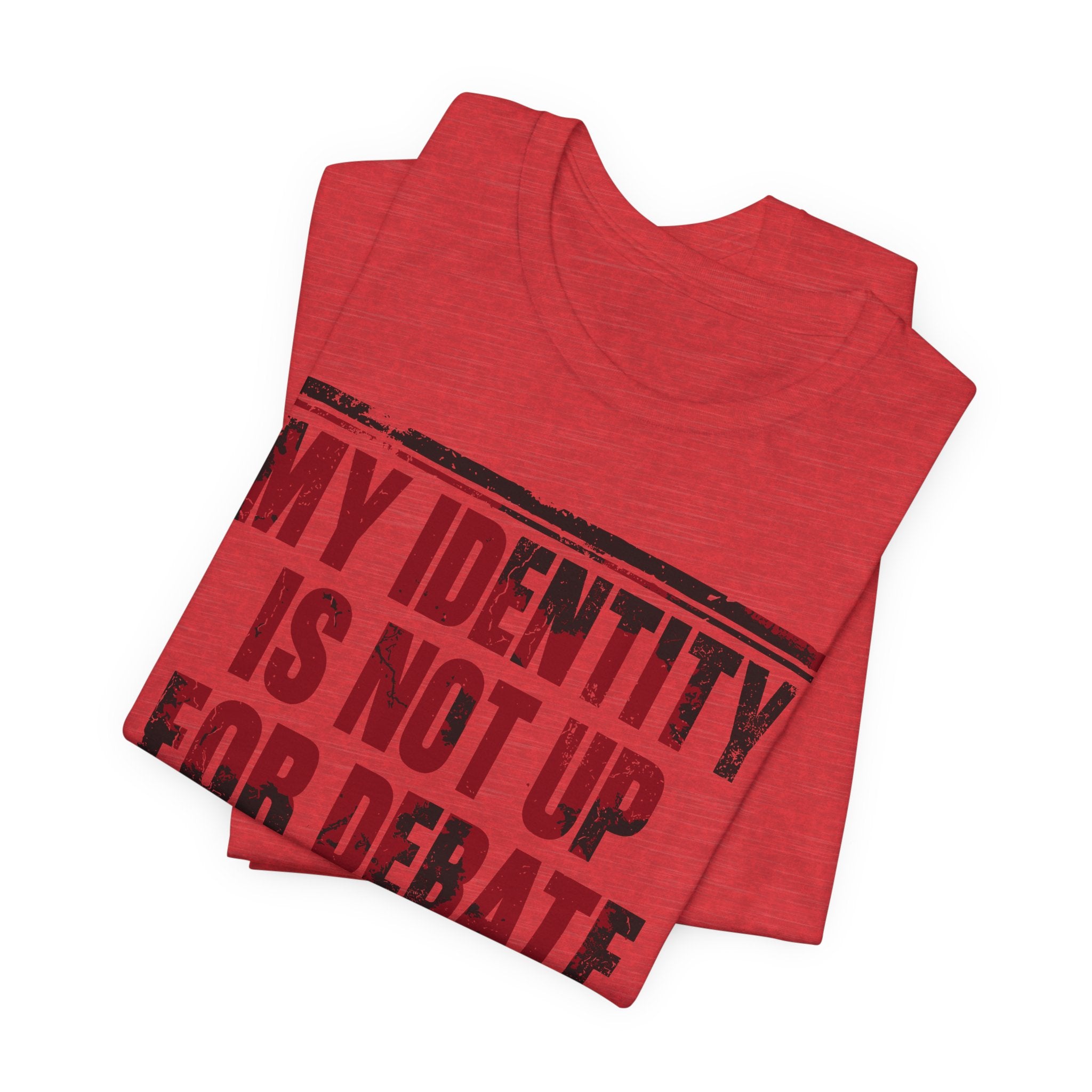 My Identity is Not Up for Debate T-Shirt