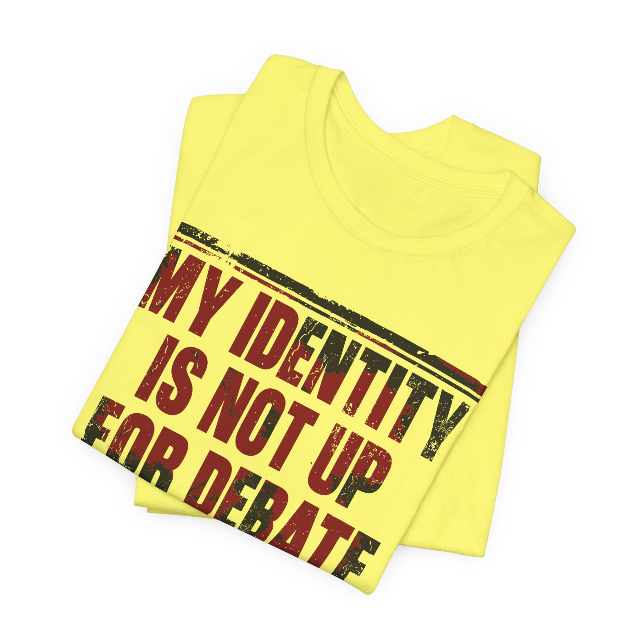 My Identity is Not Up for Debate T-Shirt
