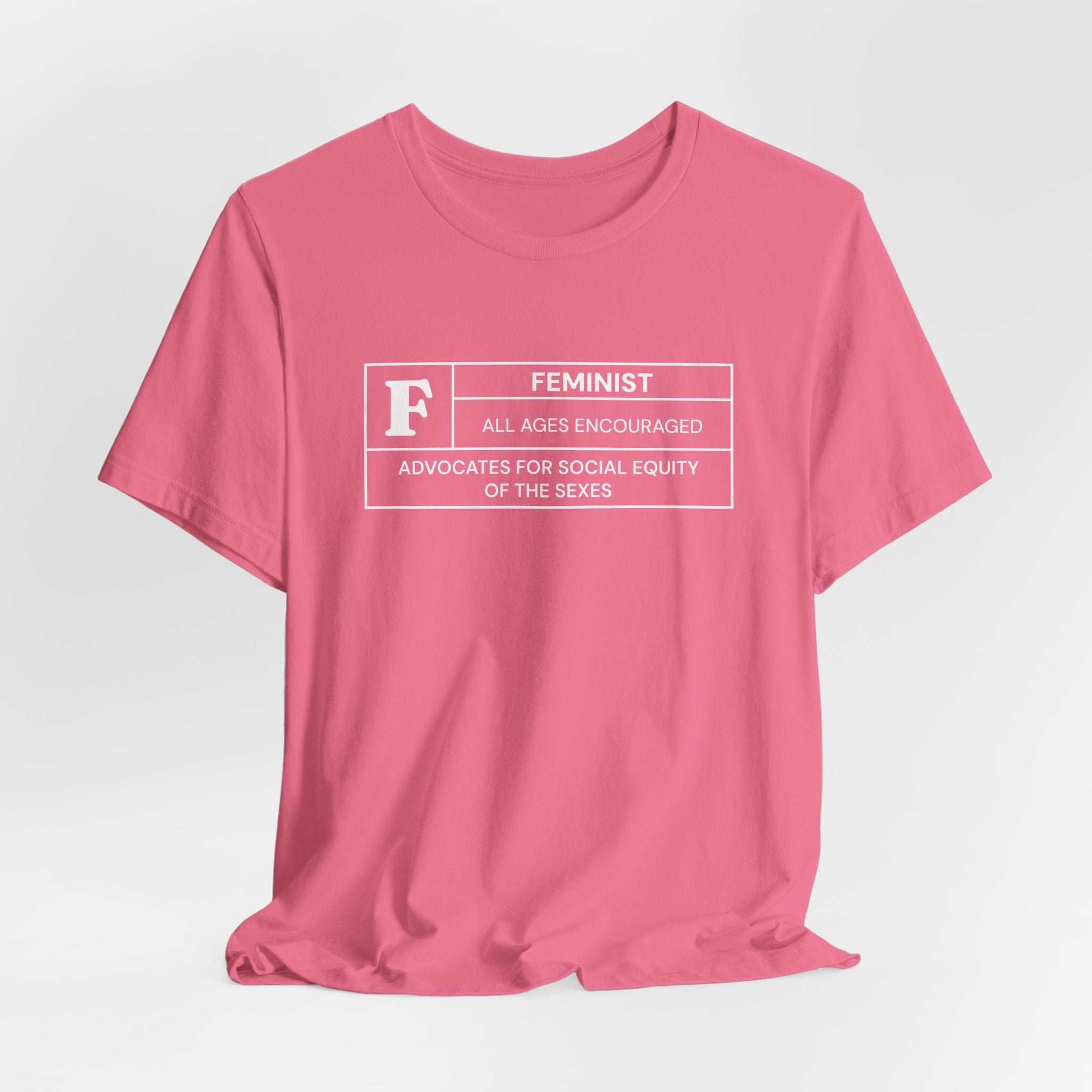 Funny Feminist Ratings Unisex Jersey Short Sleeve T-Shirt