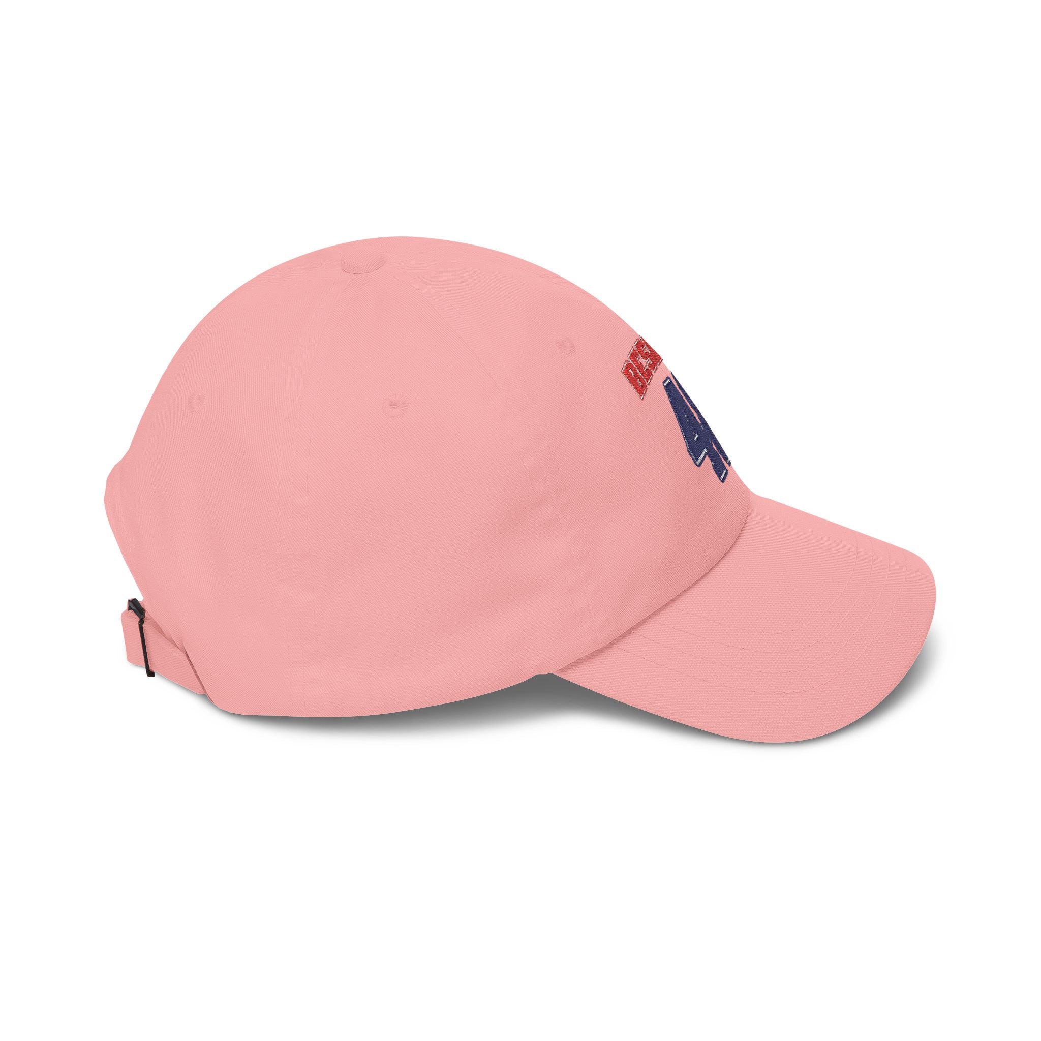 Team Beshear for 48th President Embroidered Vintage Dad Hat