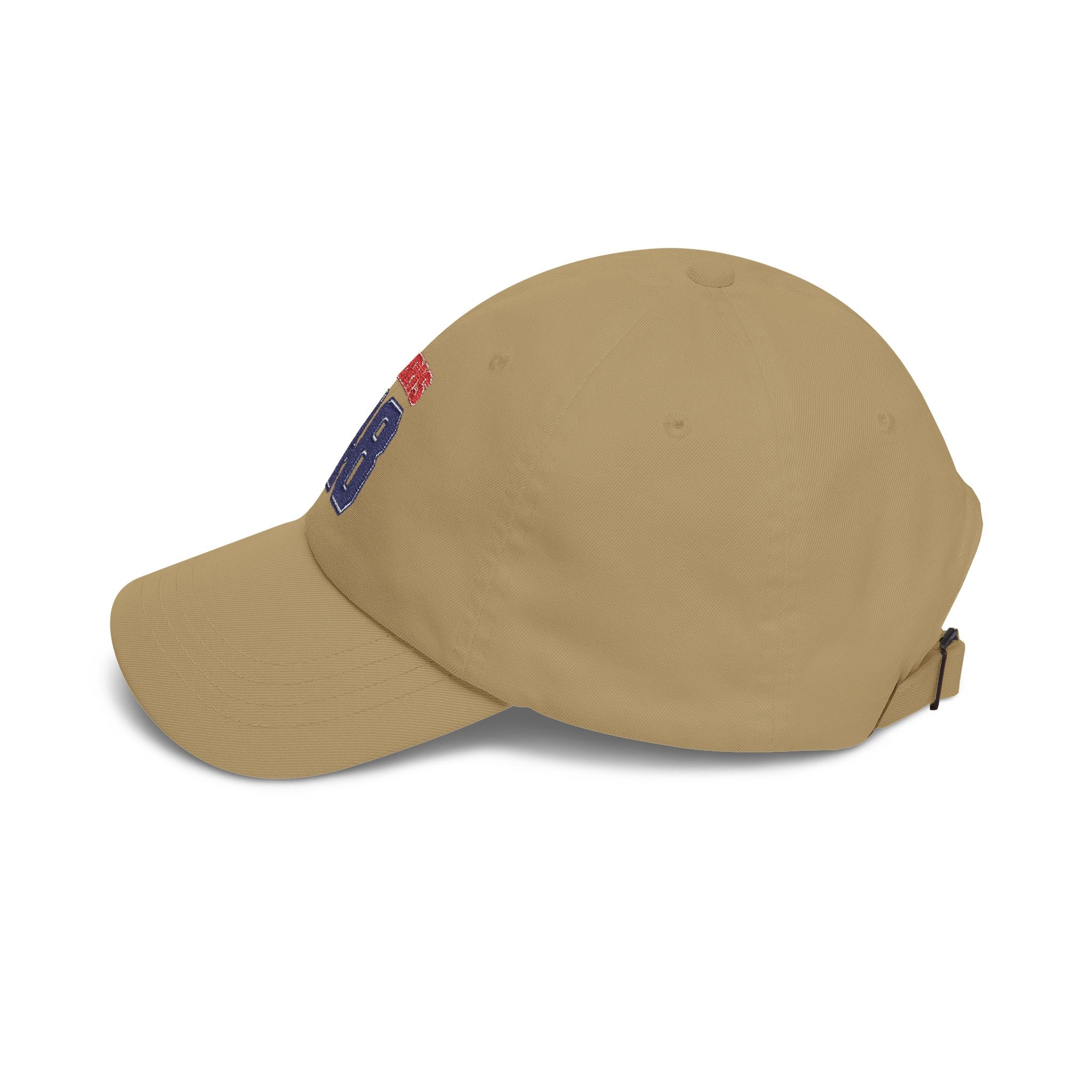 Team Harris for 48th President Embroidered Vintage Dad Hat